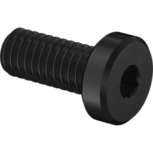 A2 Low-Profile Socket Head Screw M2.5 x 0.45 mm Thread Size, 6mm Long图4